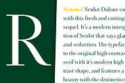 Senlot Didone, a Serif Font by insigne (Thumbnail 3 of 4)