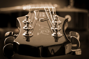 Les Paul Guitar in sepia