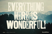 MISPRINT! - A Jumbled Woodtype Font, a Font by Komet & Flicker (Thumbnail 10 of 15)