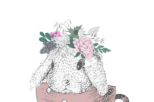 rabbit