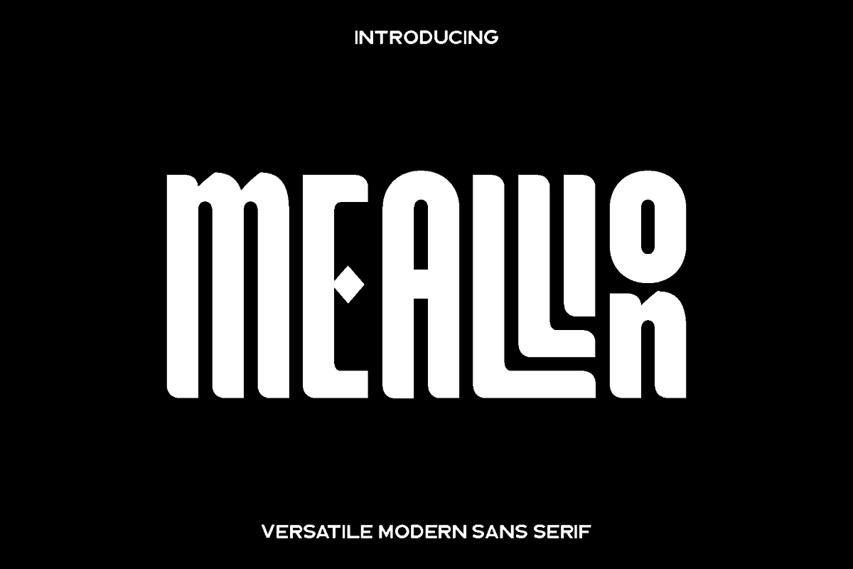 Meallion - Modern Sans Serif, a Sans Serif Font by Luna Shop (Photo 1 of 6)