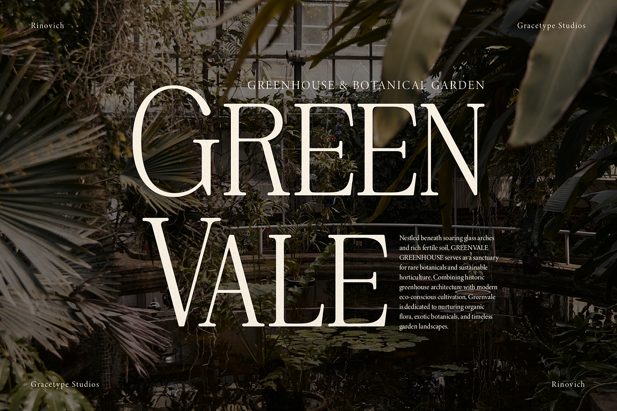 Rinovich | Display Serif Font, a Serif Font by gracetype_studio (Photo 5 of 12)