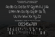 Drinking, a Sans Serif Font by FreshTypeINK (Thumbnail 5 of 8)