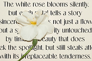 Dastin Mirelle - font duo, a Serif Font by ToniStudio (Thumbnail 6 of 10)