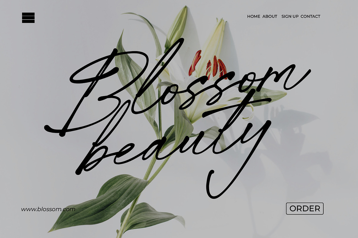 Whispered Trails – Signature Font, a Script Font by Salamahtype (Photo 5 of 8)