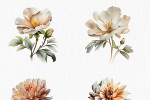 Neutral Flower Watercolor Clipart