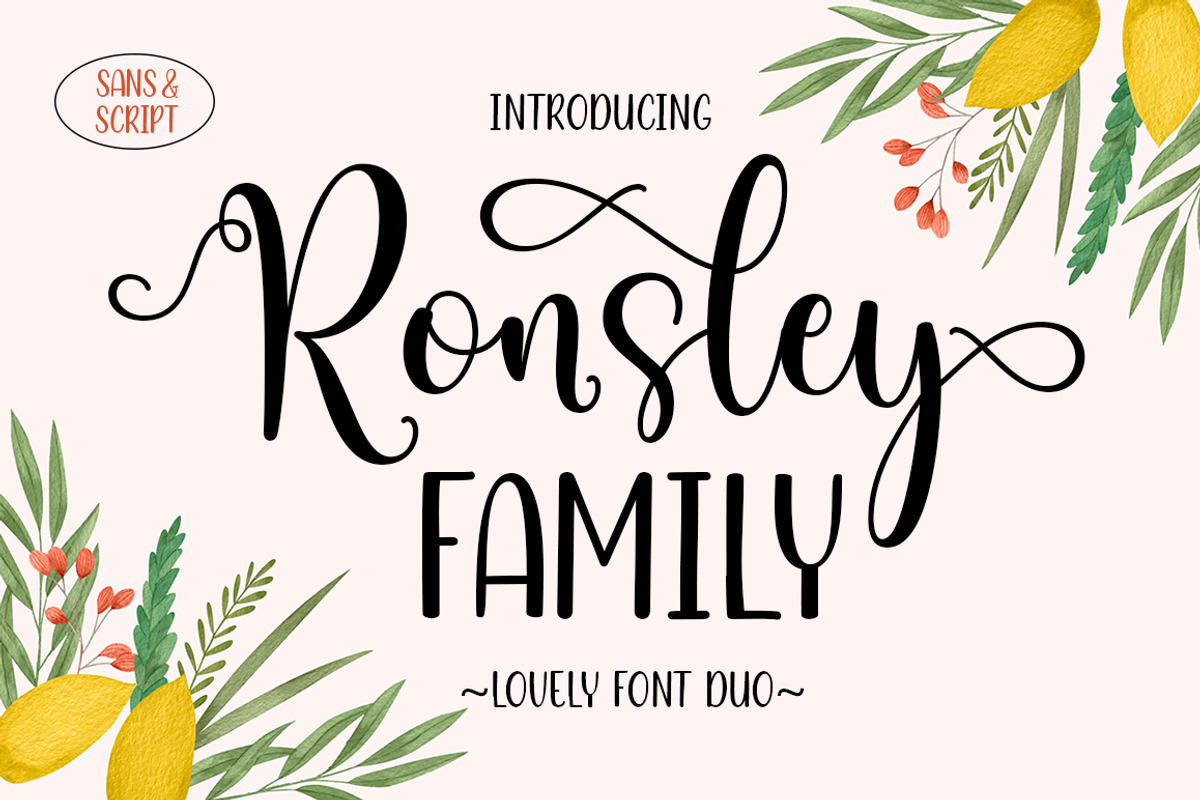 The Beautiful Font Bundle, a Script Font by Attract Studio (Photo 28 of 31)