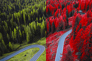 454 Infrared Fantasy Pro LUTs, a Preset Add-On by ShutterPro (Thumbnail 31 of 48)