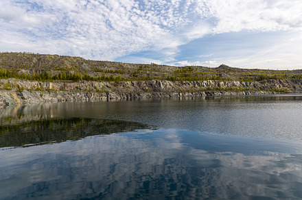 Group of small pines are by a lake w, a Nature Photo by Illustrations&photos