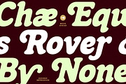 Jack Angle – Bold Retro Italic Font, a Serif Font by Typia Nesia (Thumbnail 4 of 13)