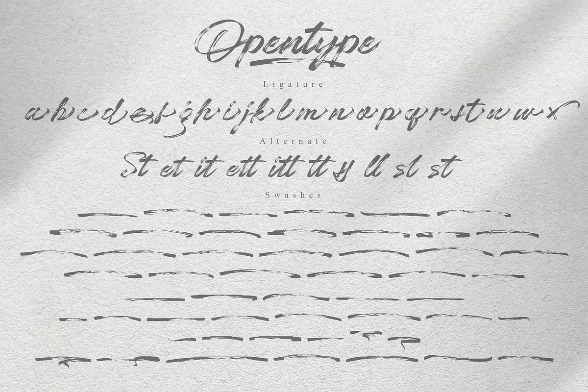 Chaletliness | Modern Script Brush, a Script Font by Madhaline Studio (Photo 14 of 15)