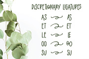 Eucalyptus Spearmint Monoline Script, a Script Font by Jordyn Alison Designs (Thumbnail 7 of 8)