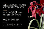 Astranala Modern Elegant Serif Font, a Serif Font by Vadovastd (Thumbnail 2 of 7)