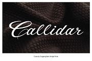 Callidar - Copperplate Script, a Script Font by Gittype (Thumbnail 9 of 14)