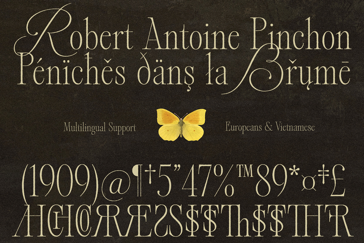 Alizee - Classy Hybrid Serif, a Serif Font by Harmonais Visual (Photo 27 of 29)