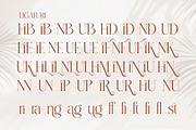 Bilifer - Modern Luxury Serif, a Serif Font by Qweera Studio (Thumbnail 10 of 12)