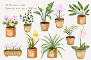 Houseplants Watercolor Collection, a Decorative Illustration by Aurella Art (Thumbnail 5 of 15)