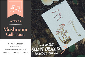 Mushroom Mockup 4 - Vol. 1