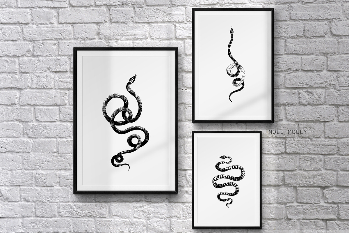 Snakes vector set, a Graphic by Noli Molly Store (Photo 4 of 5)