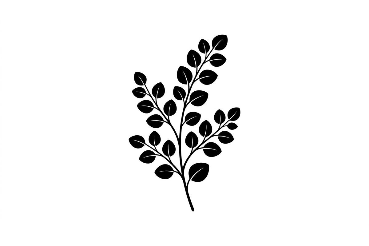Eucalyptus Leaf Branch Collection, an Object Graphic by Designer_Momina (Photo 2 of 3)