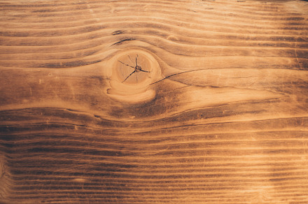 rustic wood background, an Abstract Photo by Olyryk & Aglo