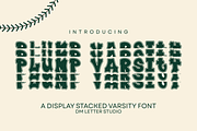 Plump Varsity Stacked, a Serif Font by Dm Studio (Thumbnail 1 of 9)