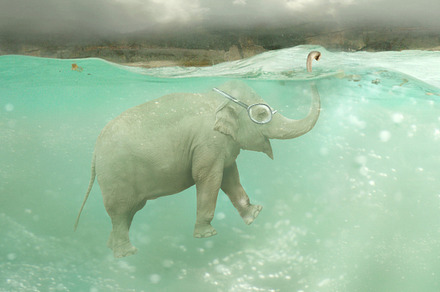 On The Road Featuring Elephant Lantern And Lemur preview 5