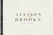 South Epic Dream Font Duo + Logos, a Serif Font by SNIPESCIENTIST (Thumbnail 7 of 32)