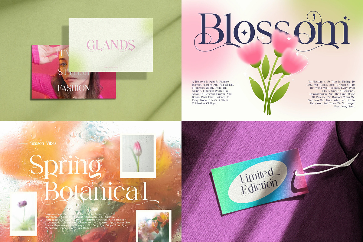 Stylish Serif - 6 Font Bundle, a Serif Font by Brand Earth (Photo 8 of 8)