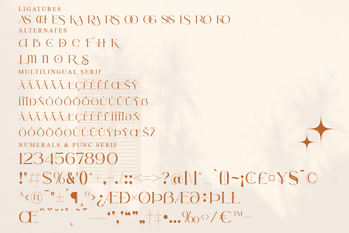 Arolse Belmonteria Font Duo, a Serif Font by Storytype Studio (Photo 13 of 15)