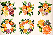 46 watercolor-citrus-fruit-clipart, an Illustration by GatewayDesign (Thumbnail 4 of 9)