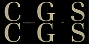 Cardillac Text, a Serif Font by Hoftype (Thumbnail 4 of 15)
