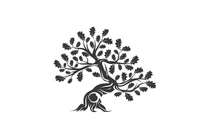 Isolated Vector Oak Tree Illustratio