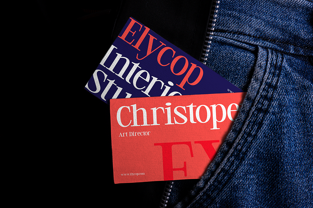 Meglo - Elegant Modern Serif Font, a Serif Font by Pekotype (Photo 14 of 15)