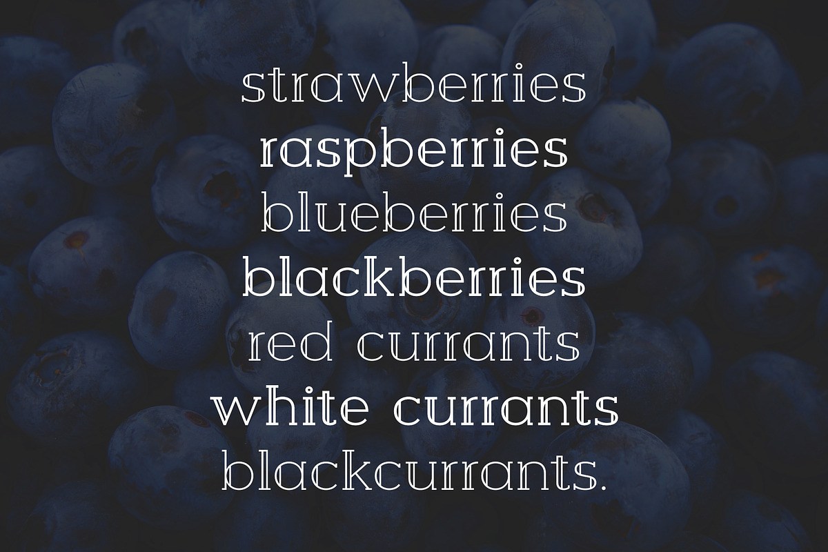 Berry Slab Serif Font preview 7