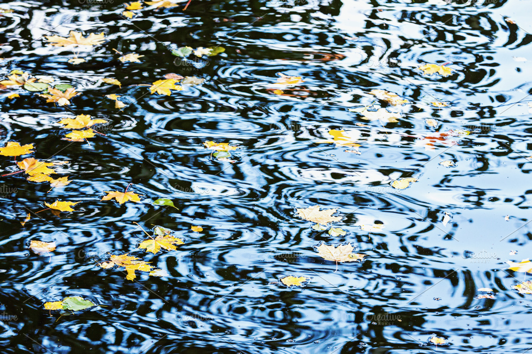 Nature background with water ripples, a Nature Photo by BOOCYS