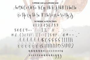 Seahourse Script Font