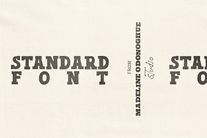 Standard | Hand Made Slab Serif Font, a Slab Serif Font by Madeline ODonoghue Design