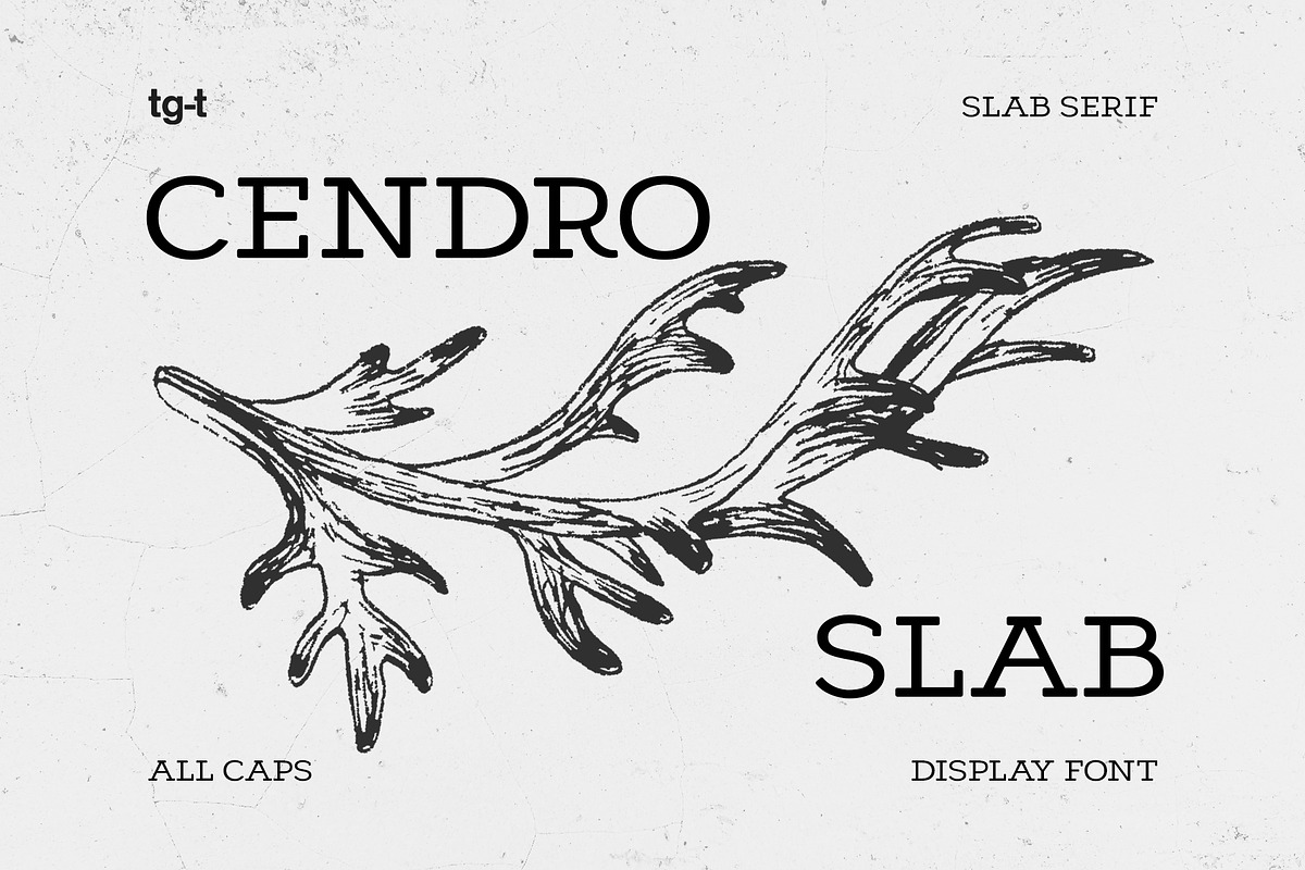 Cendro Slab - Slab Serif Font, a Slab Serif Font by Tiga Type (Photo 1 of 8)