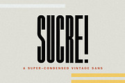Modern Logo Sans Font Bundle, a Sans Serif Font by Jen Wagner Co (Thumbnail 37 of 39)