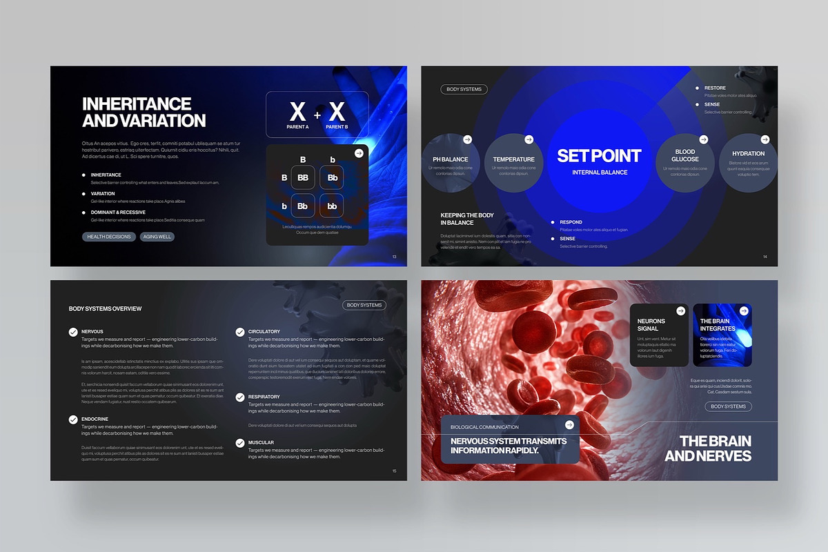 Biology Class Presentation Template, a Presentation Template by BrandPacks (Photo 5 of 7)