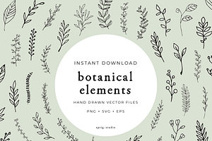 Hand Drawn Botanical Elements