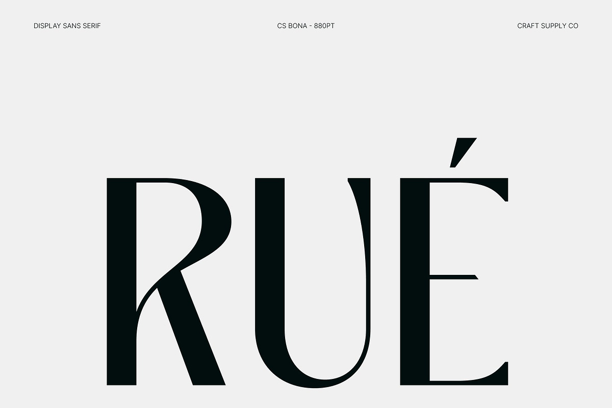 CS Bona – Modern Sans Serif, a Sans Serif Font by Craft Supply Co. (Photo 2 of 8)