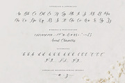 Claytona - Modern Calligraphy Script, a Script Font by Balpirick Studio (Thumbnail 6 of 7)
