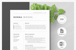 Modern Resume Template Kit