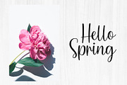 Simple Script, a Script Font by Artkenza (Thumbnail 2 of 6)