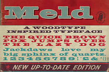 Meld Extended Woodblock Font