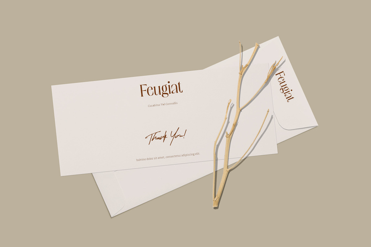 Balvine – Serif Typeface, a Serif Font by Craft Supply Co. (Photo 2 of 8)
