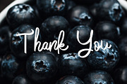 Cobain Aja - Script Font, a Script Font by NTC Graphic (Thumbnail 6 of 6)