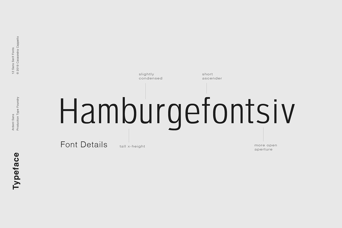 Ardent Sans - Modern Font Family, a Sans Serif Font by Cassandra Cappello (Photo 3 of 5)